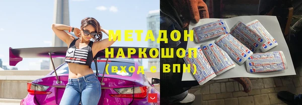индика Богородицк