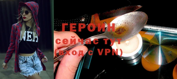 индика Богородицк