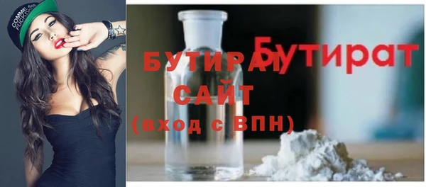индика Богородицк