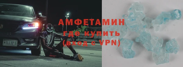 индика Богородицк