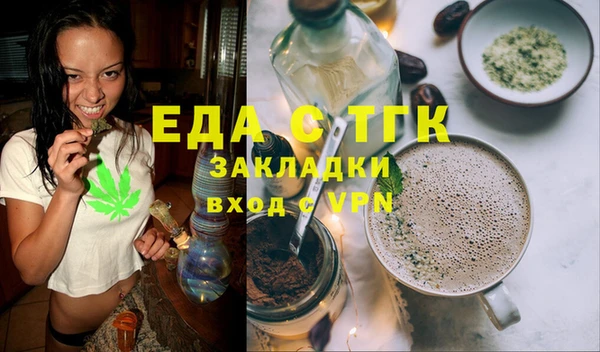 индика Богородицк