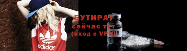 индика Богородицк