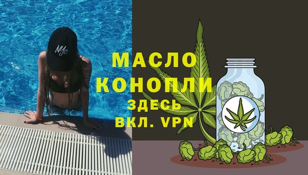 индика Богородицк