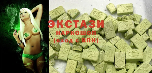 индика Богородицк