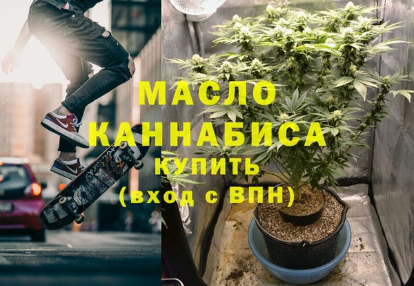 индика Богородицк