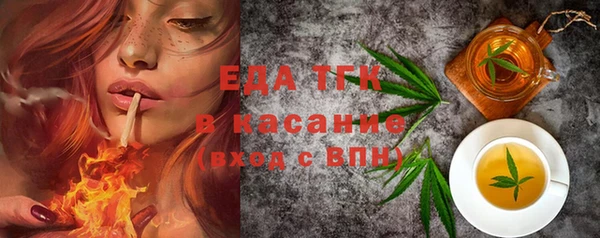 индика Богородицк