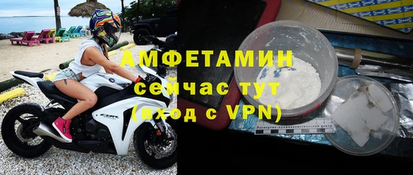 индика Богородицк
