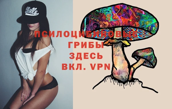 индика Богородицк