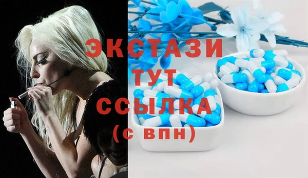 индика Богородицк
