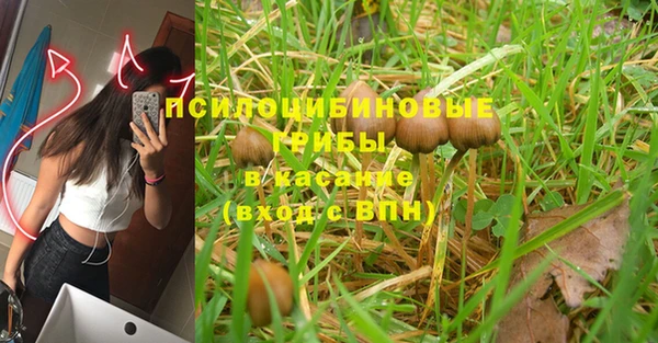 мескалин Богородск