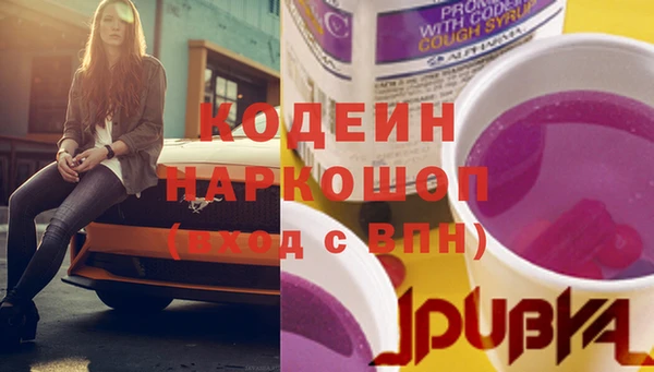 индика Богородицк